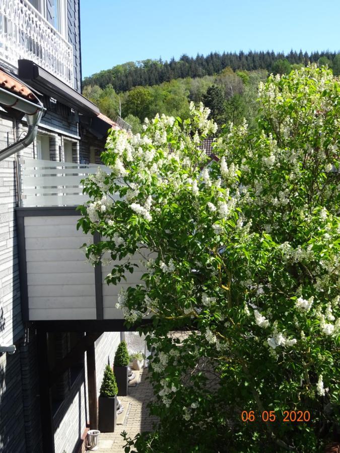 Fewo Hage Langelsheim Zewnętrze zdjęcie