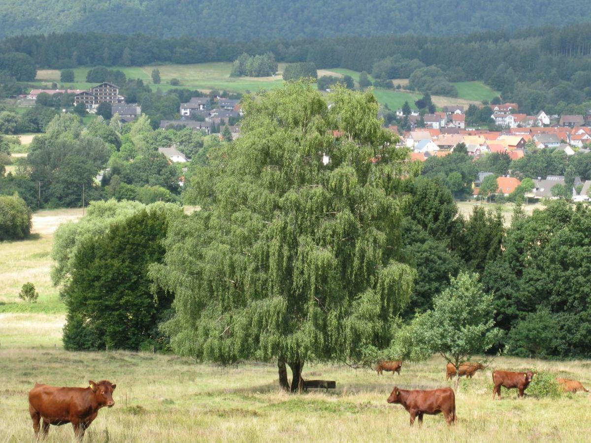 Fewo Hage Langelsheim Zewnętrze zdjęcie